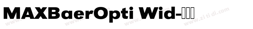 MAXBaerOpti Wid字体转换